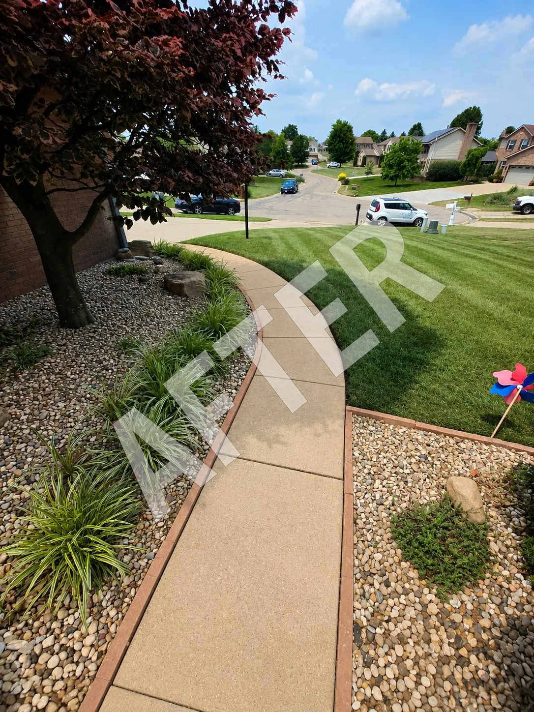Walkway after cleaning